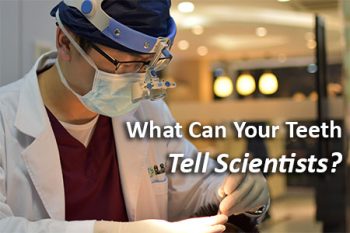 Puyallup dentist, Dr. Roland Vantramp at Dove Family Dentistry tells patients what kind of information scientists have discovered by studying fossil teeth.